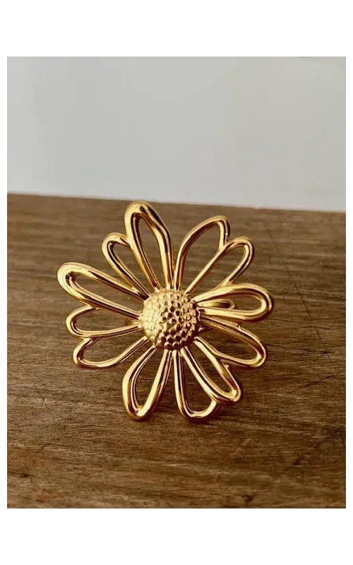 Anillo Marga