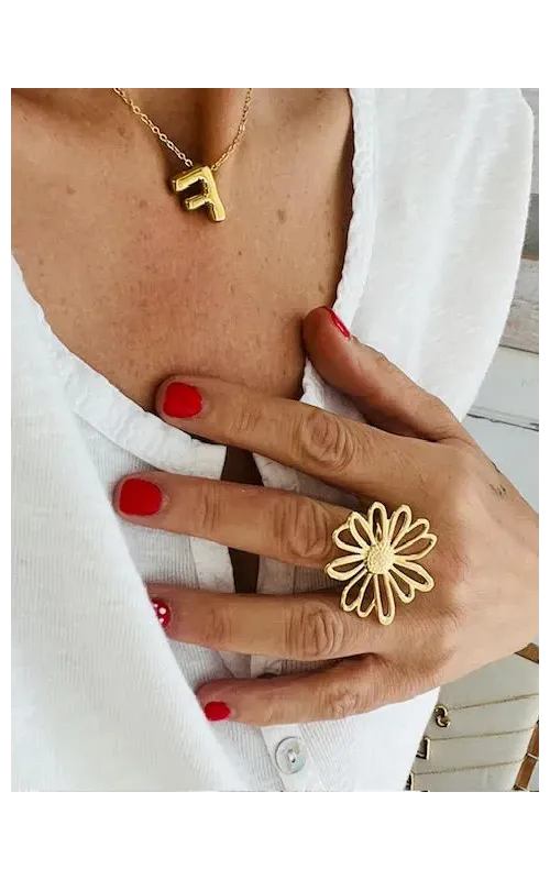 Anillo Marga
