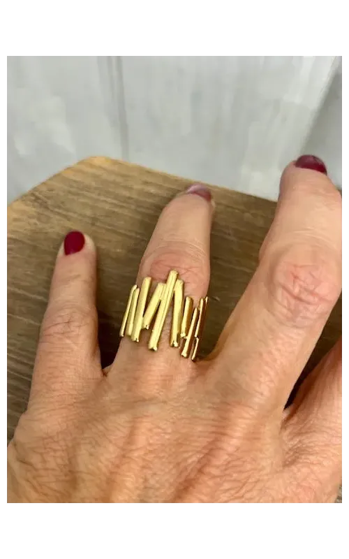 Anillo Delfos